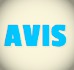 Avis Embassy English New York